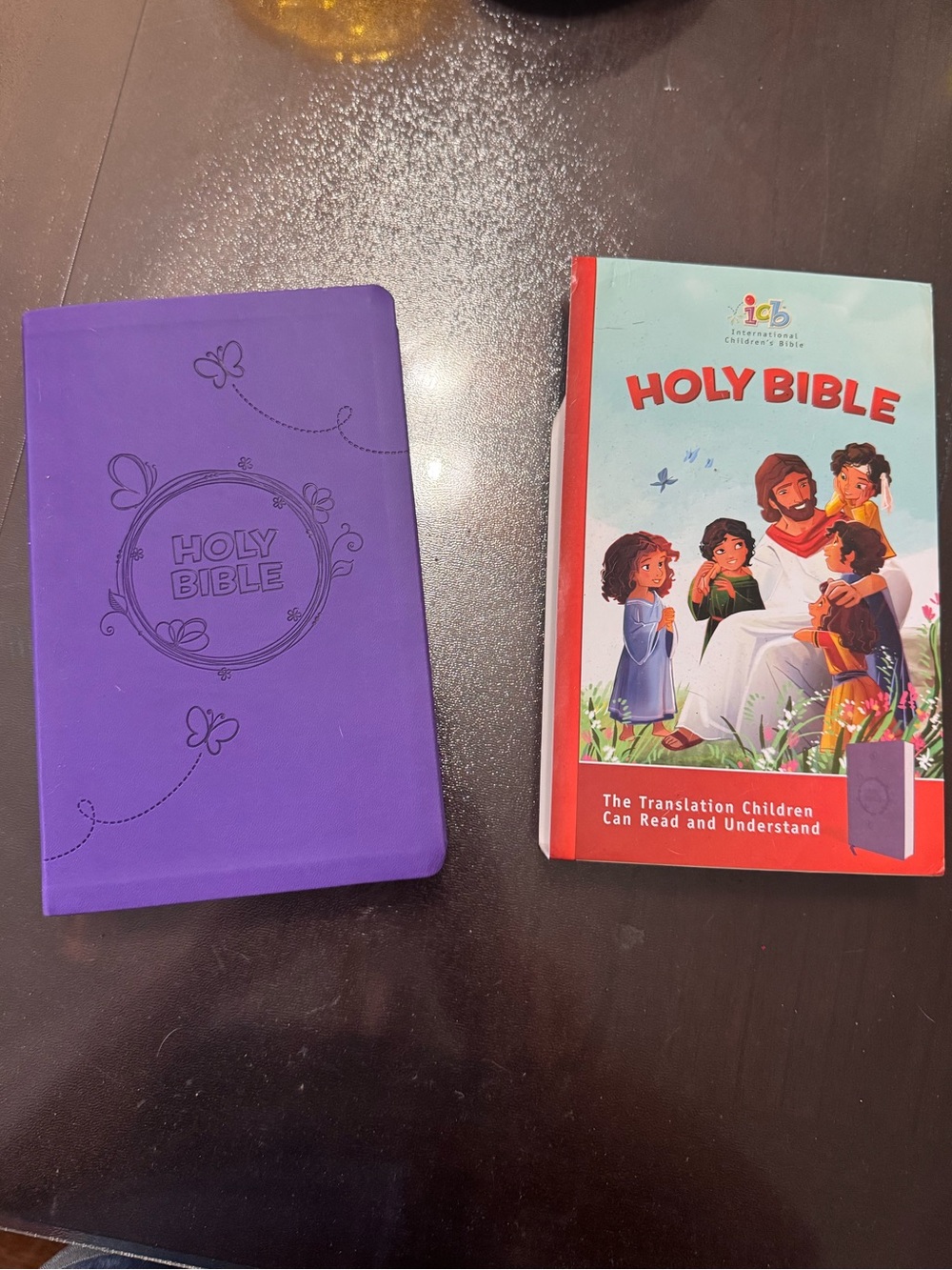 Children's Holy Bible Purple Cover - Kids Bible